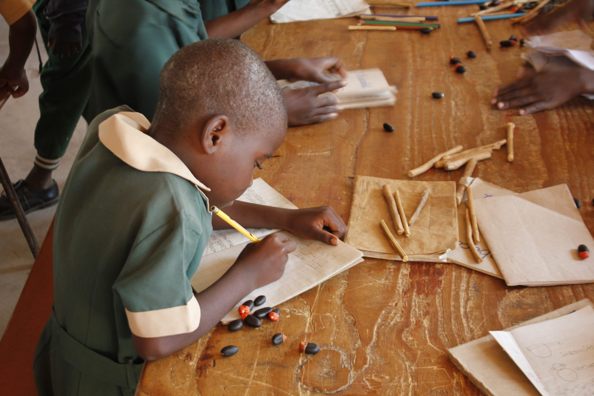 Ruzivo Scholarship and Book Fund