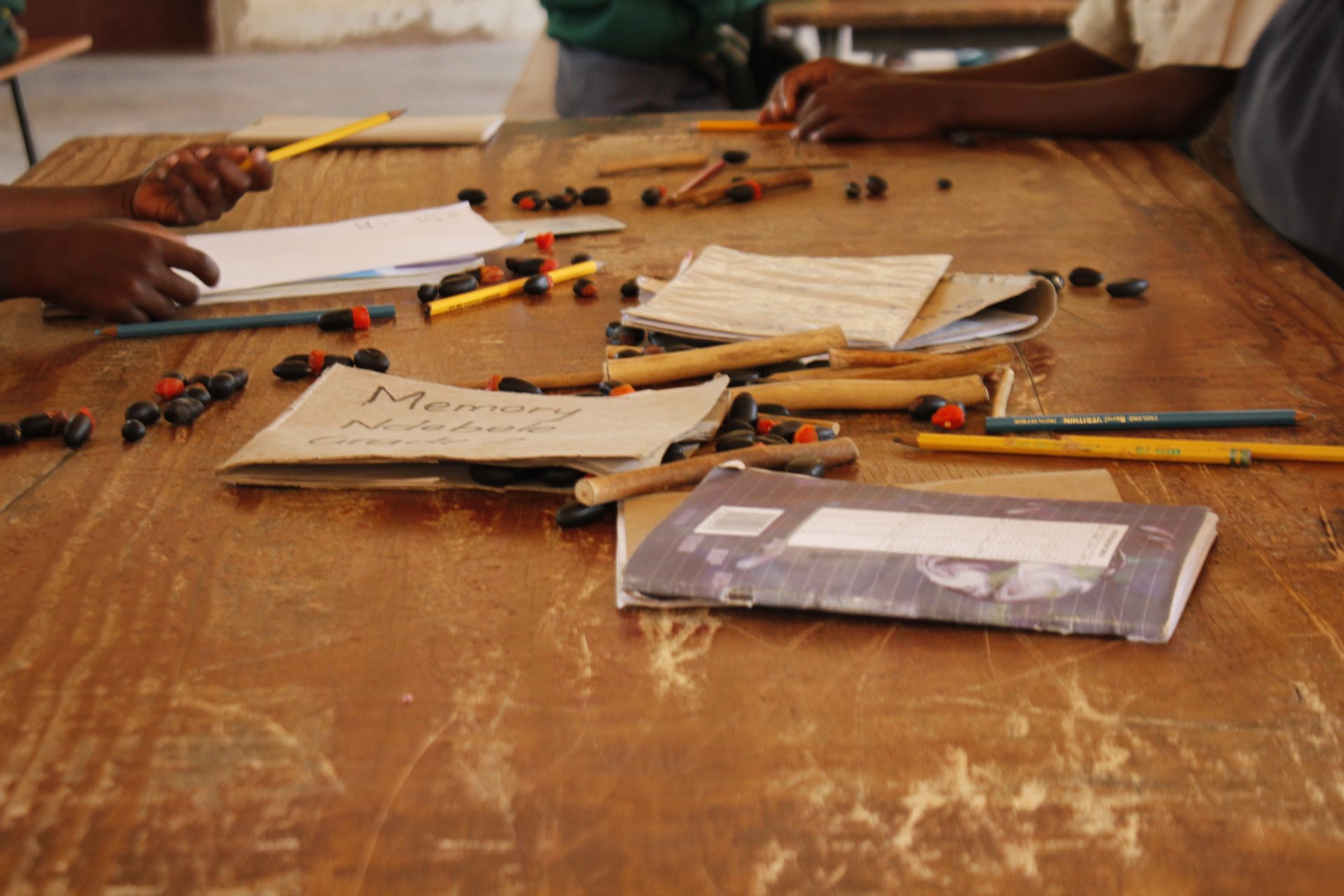 Ruzivo Scholarship and Book Fund