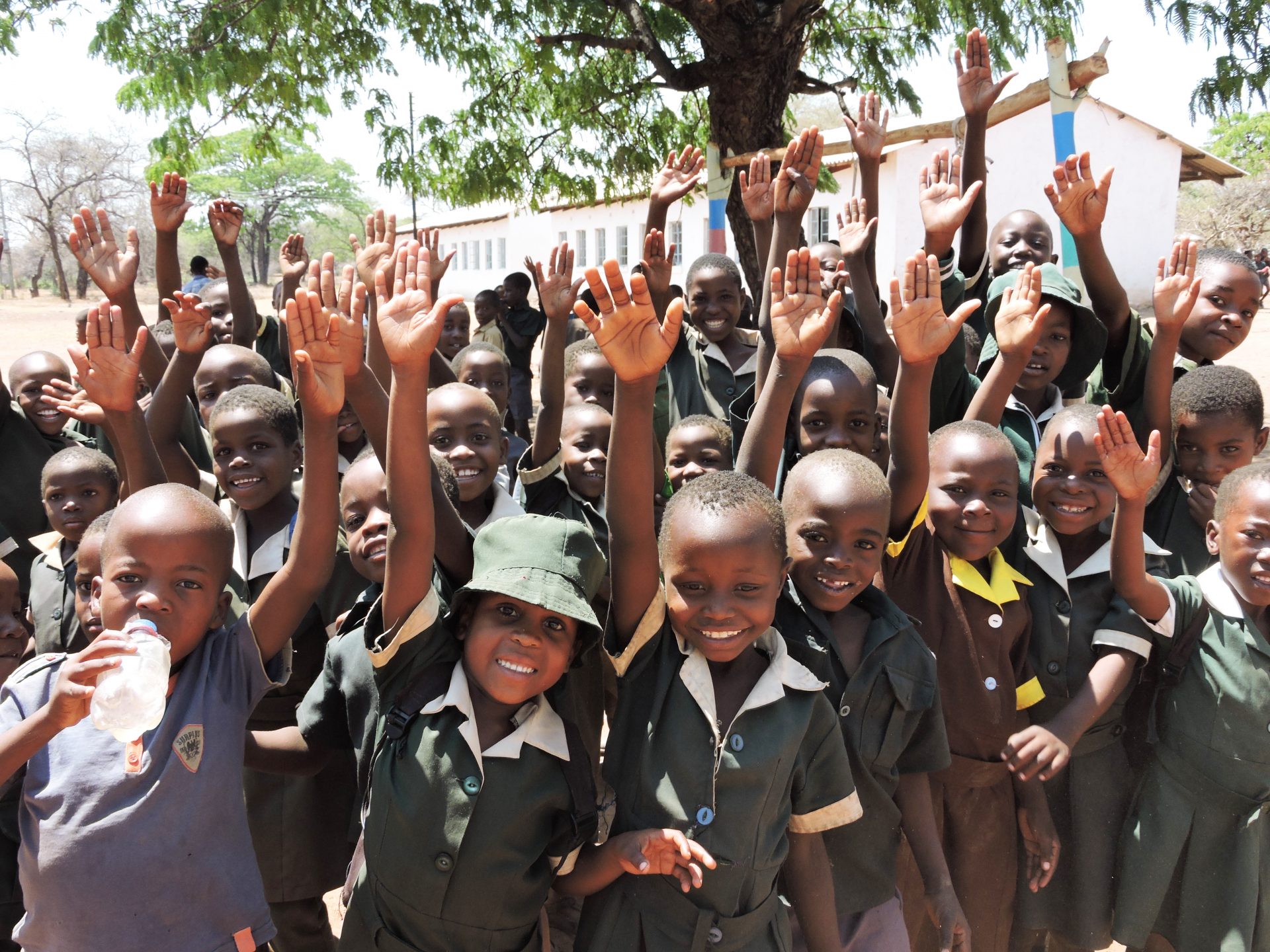 Grow Africa | Dingani Primary School Learners